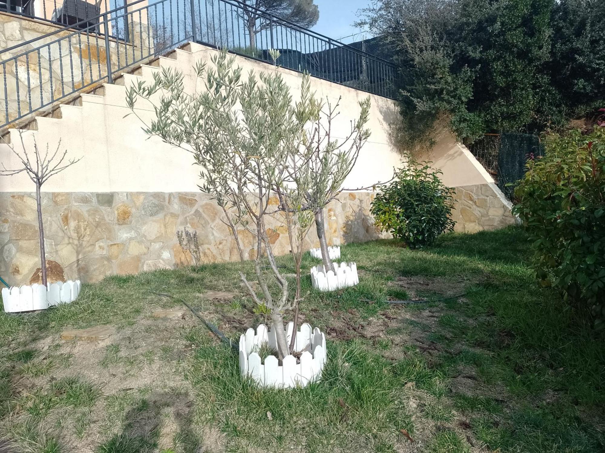 Gran Estudio De 50M2 Cerca Costa Brava Vidreres Exterior foto